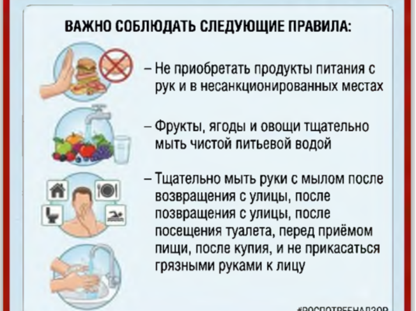 Территориальный отдел Управления Роспотребнадзора по Луганской Народной Республике в городах Алчевск, Красный Луч, Антрацит и Перевальском районе информирует.