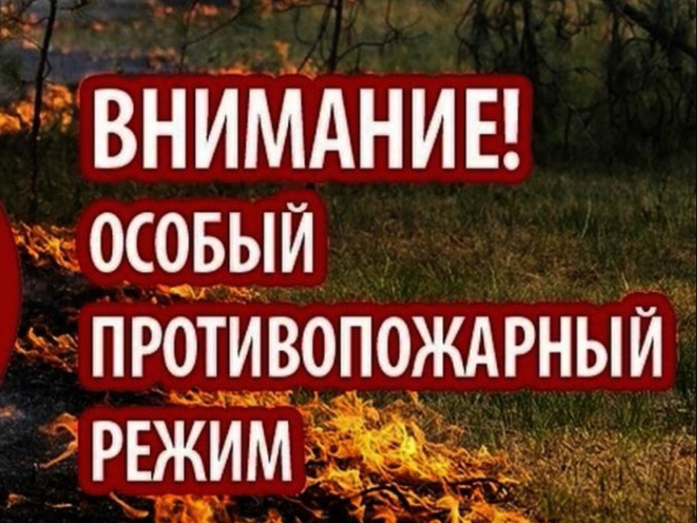 Что такое особый противопожарный режим и зачем его вводят.