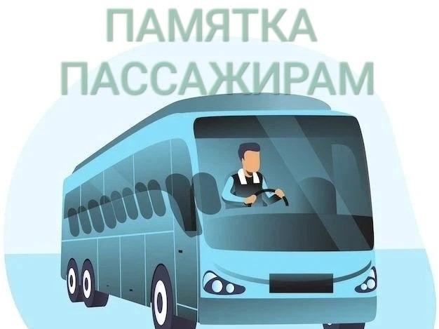 Памятка пассажира: как ездить в общественном транспорте безопасно и комфортно.